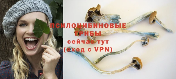 ГАЛЛЮЦИНОГЕННЫЕ ГРИБЫ Белоозёрский