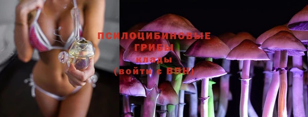 ГАЛЛЮЦИНОГЕННЫЕ ГРИБЫ Белоозёрский