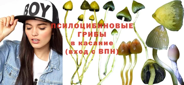 кокаин перу Белокуриха