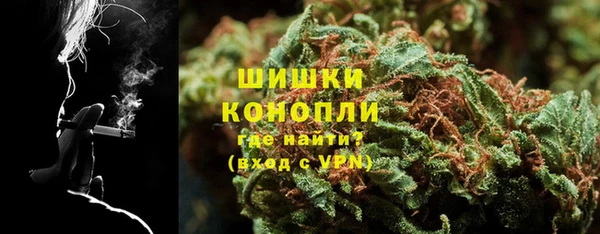ГАЛЛЮЦИНОГЕННЫЕ ГРИБЫ Белоозёрский