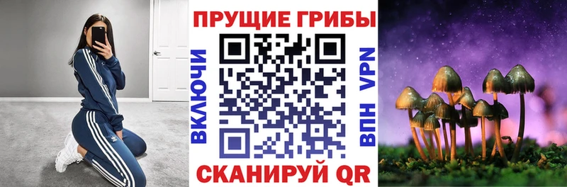 Псилоцибиновые грибы мухоморы  Купить  Лебедянь 