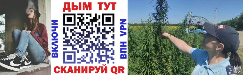МАРИХУАНА планчик  Купить где  Лебедянь 